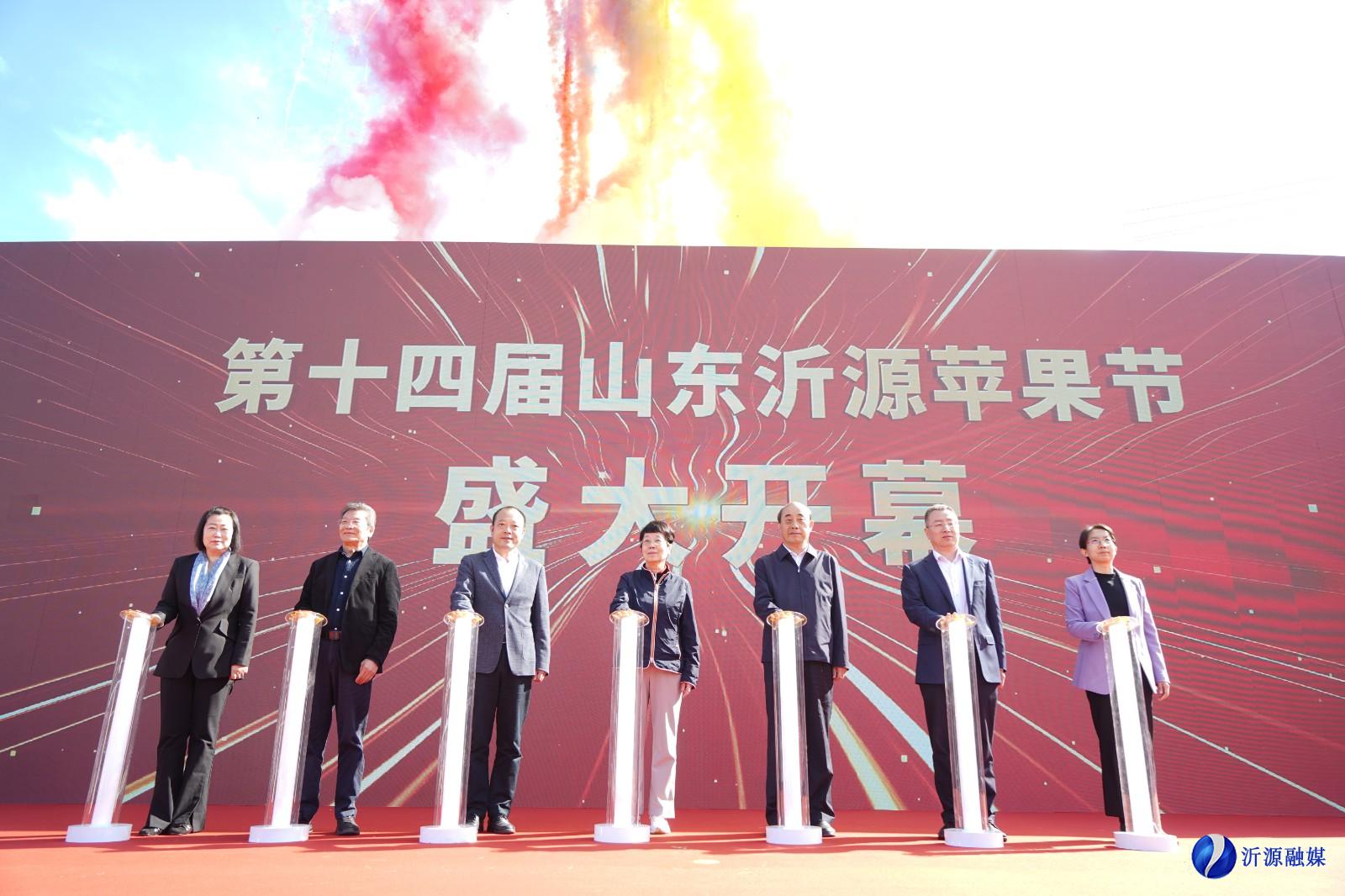 744e58b7bb4d61233b295475bdd560f