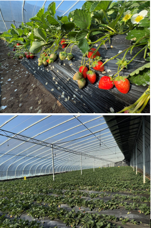 wechat_2025-01-20_110429_908