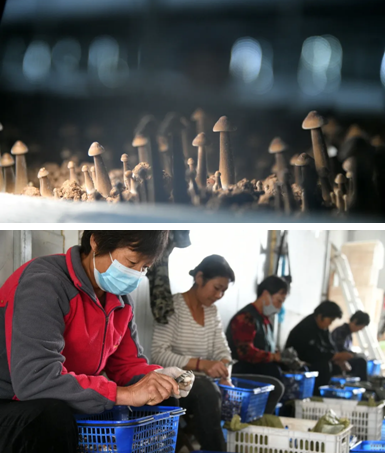 wechat_2025-01-20_110514_677