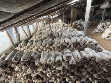 wechat_2025-01-20_110543_269