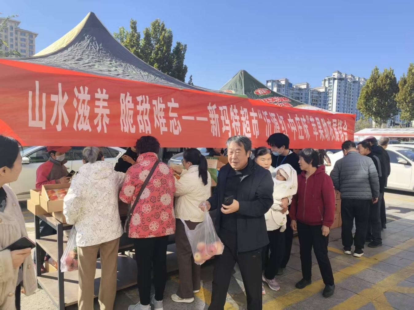 微信图片_20251103132006_257_18