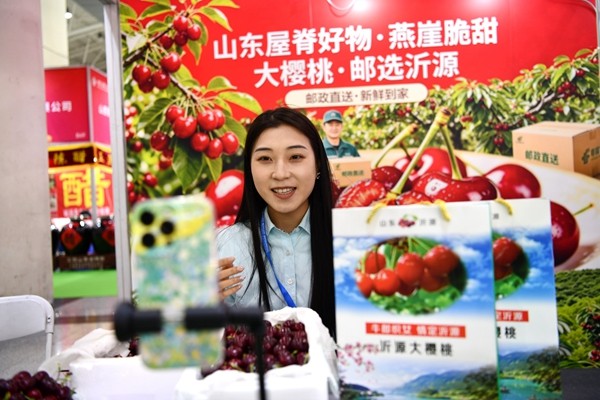 202604171504499XsMaI