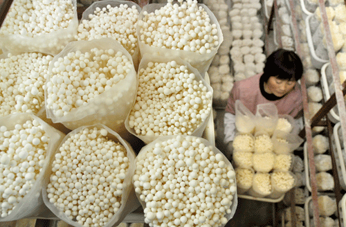 进行工厂化蘑菇养殖