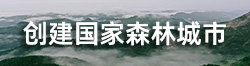 创建国家森林城市