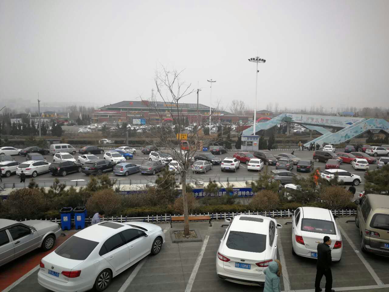 青兰高速沂源旅游服务区火了!