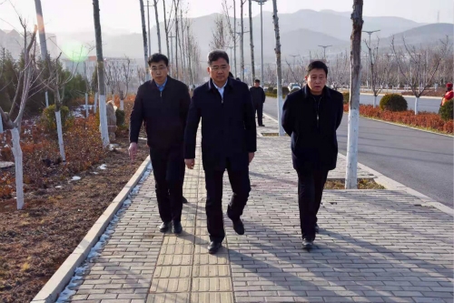 县委书记王义朴现场督导城乡环境综合整治工作