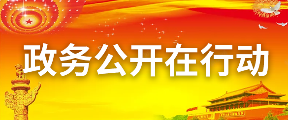 政务公开在行动