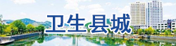 卫生县城