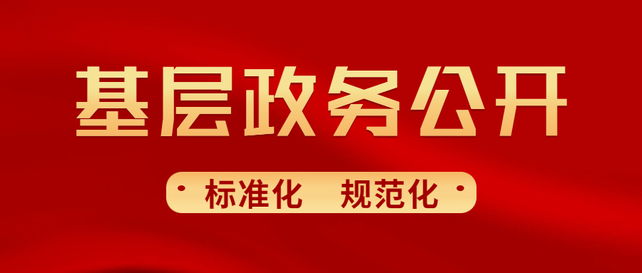 基层政务公开标准化规范化