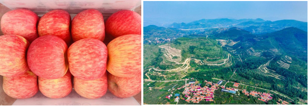 wechat_2025-09-22_165456_922